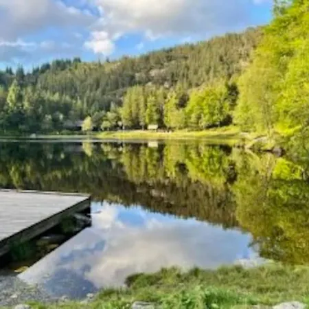 Near The Floibanen, Cable Car * Bergen