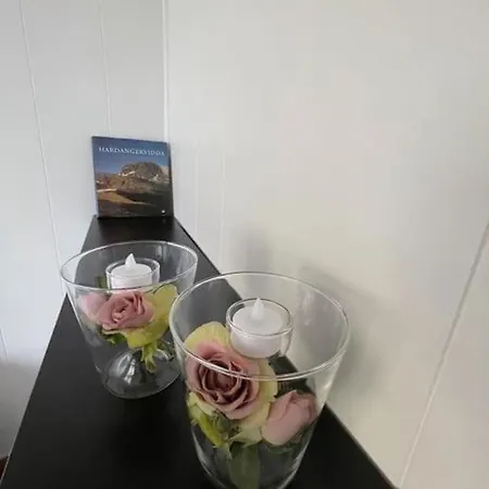 Apartman Near The Floibanen, Cable Car