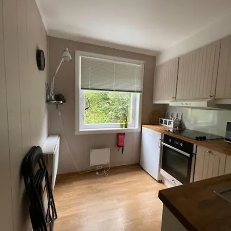 Near The Floibanen, Cable Car Apartman Bergen